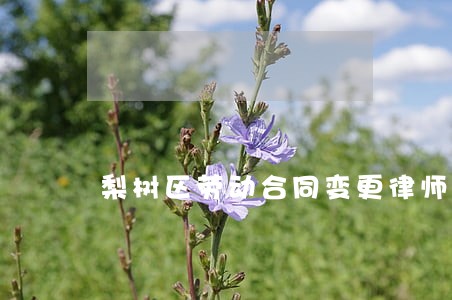 梨树区劳动合同变更律师 梨树区劳动合同变更律师