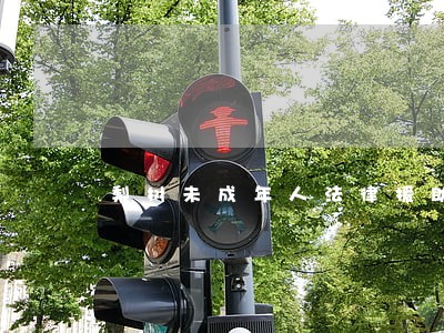 梨树未成年人法律援助 梨树未成年人法律援助