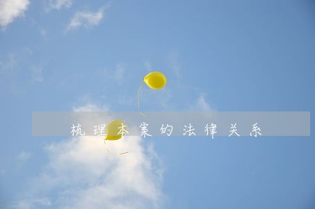梳理本案的法律关系 梳理本案的法律关系