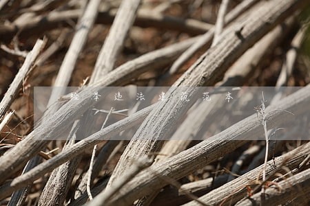 检举违法建筑范本 检举违法建筑范本