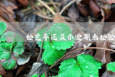 检完车还显示逾期未检验 检完车还显示逾期未检验