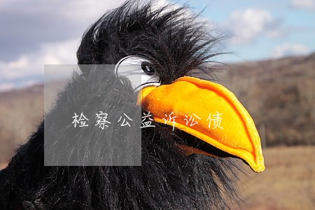 检察公益诉讼债 检察公益诉讼债