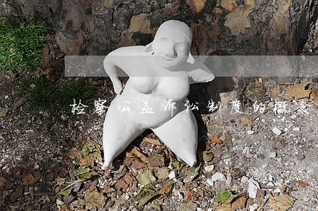 检察公益诉讼制度的概念 检察公益诉讼制度的概念