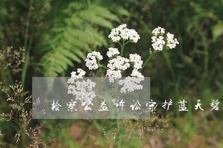 检察公益诉讼守护蓝天碧水净土 检察公益诉讼守护蓝天碧水净土
