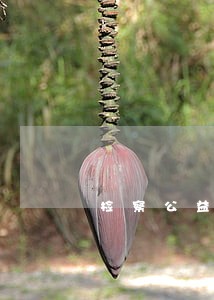 检察公益诉讼新年开门红 检察公益诉讼新年开门红