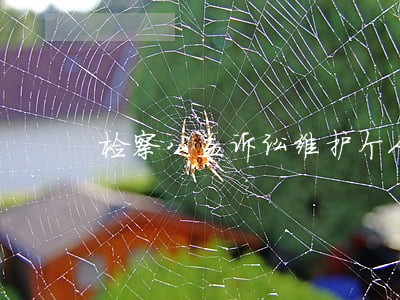 检察公益诉讼维护个人信息安全 检察公益诉讼维护个人信息安全
