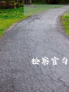 检察官与律师的相同点 检察官与律师的相同点