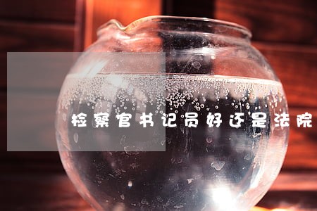 检察官书记员好还是法院书记员 检察官书记员好还是法院书记员