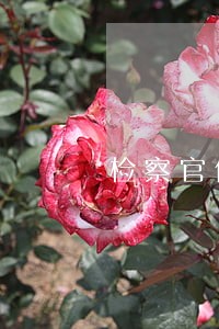 检察官做律师的思维 检察官做律师的思维