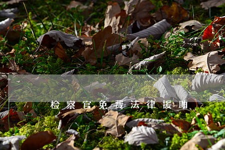 检察官免费法律援助 检察官免费法律援助