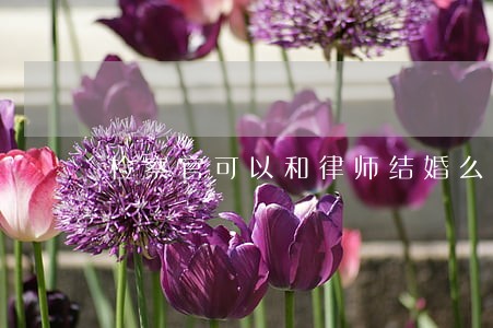 检察官可以和律师结婚么 检察官可以和律师结婚么