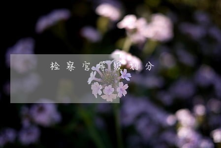 检察官等级划分 检察官等级划分