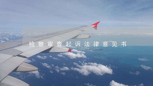 检察审查起诉法律意见书