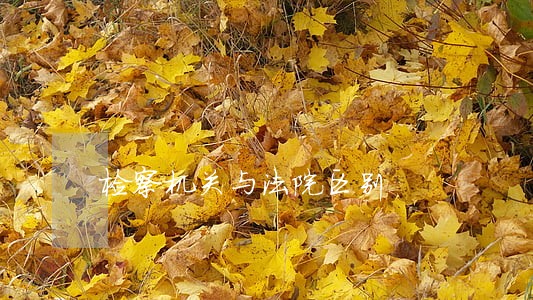 检察机关与法院区别 检察机关与法院区别