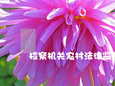 检察机关农村法律监督工作探析 检察机关农村法律监督工作探析