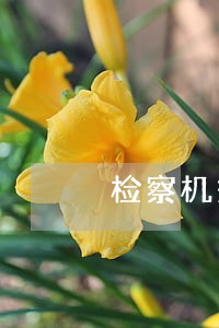 检察机关办理职务违法和职务 检察机关办理职务违法和职务
