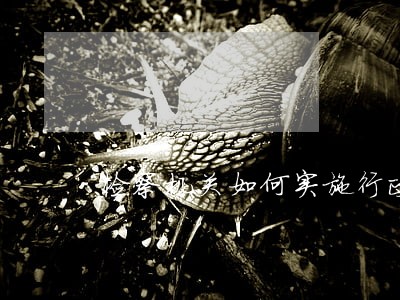 检察机关如何实施行政诉讼监督权 检察机关如何实施行政诉讼监督权