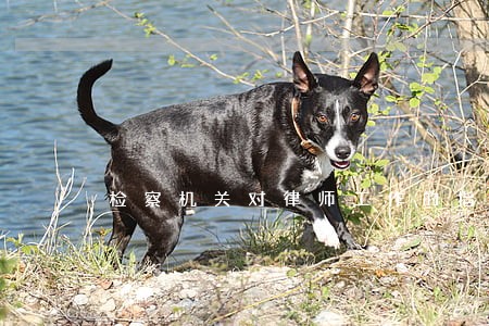 检察机关对律师工作的指导 检察机关对律师工作的指导