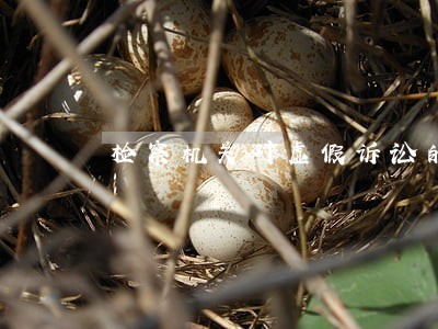 检察机关对虚假诉讼的监督包括哪些