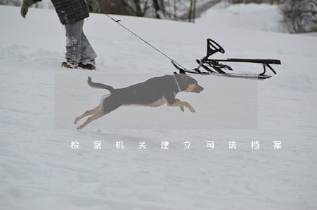 检察机关建立司法档案