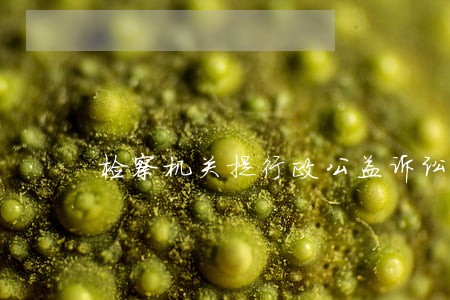 检察机关提行政公益诉讼 检察机关提行政公益诉讼