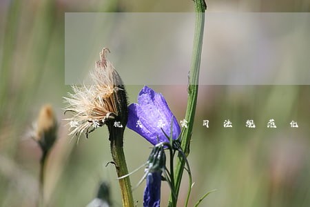 检察机关落实司法规范化整改措施