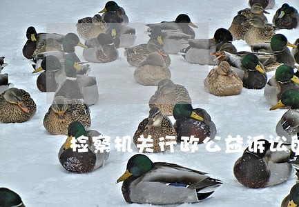 检察机关行政公益诉讼的四大领域 检察机关行政公益诉讼的四大领域