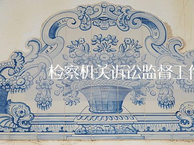 检察机关诉讼监督工作讲座 检察机关诉讼监督工作讲座