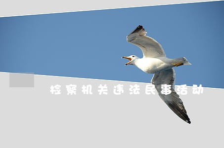 检察机关违法民事活动