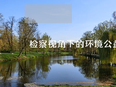 检察视角下的环境公益诉讼研究 检察视角下的环境公益诉讼研究