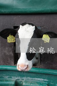 检察院书记员可以申请律师证 检察院书记员可以申请律师证