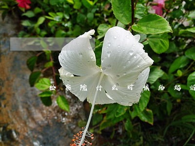 检察院什么时候给起诉书 检察院什么时候给起诉书