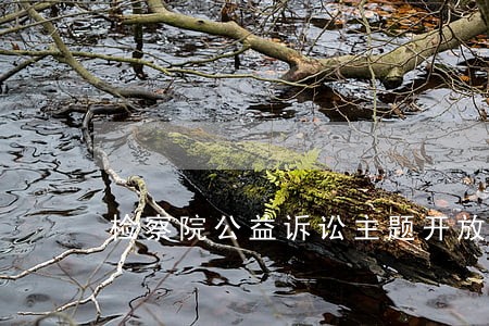 检察院公益诉讼主题开放日 检察院公益诉讼主题开放日