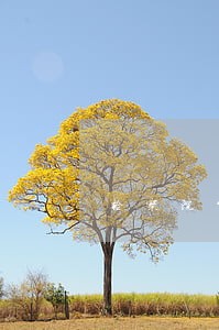 检察院公益诉讼受案范围模糊 检察院公益诉讼受案范围模糊
