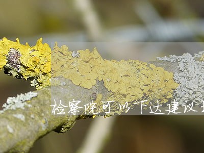 检察院可以下达建议书吗