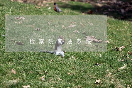 检察院司法系统 检察院司法系统
