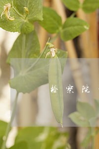 检察院司法行政人员工作职责