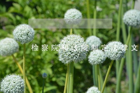 检察院和法院制定法律文件冲突
