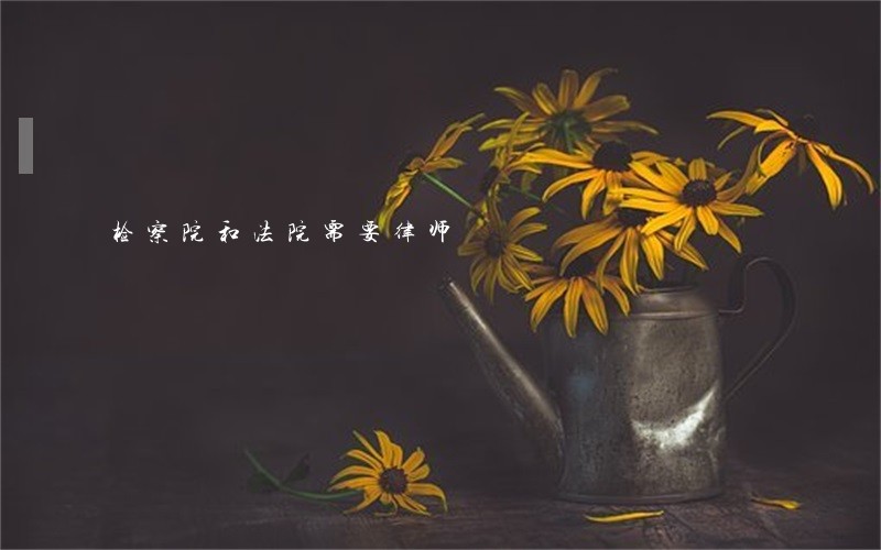 检察院和法院需要律师 检察院和法院需要律师