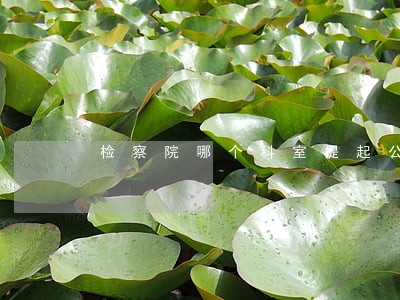 检察院哪个科室提起公益诉讼