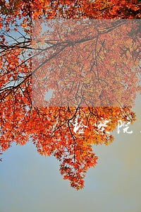 检察院土地承包公益诉讼 检察院土地承包公益诉讼