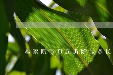 检察院审查起诉阶段多长时间