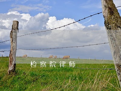 检察院律师
