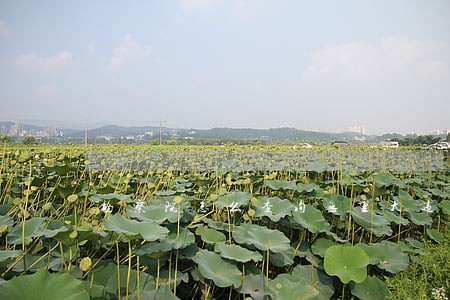 检察院怎么查询无重大违法记录 检察院怎么查询无重大违法记录