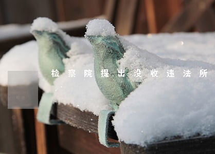 检察院提出没收违法所得的申请 检察院提出没收违法所得的申请
