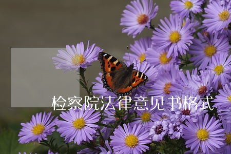 检察院法律意见书格式 检察院法律意见书格式