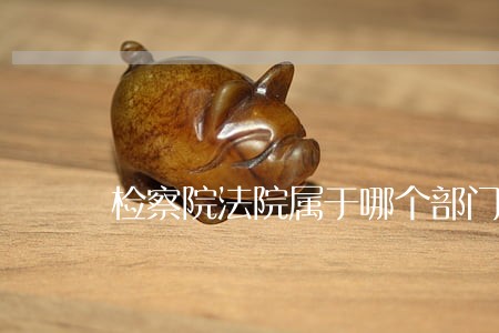 检察院法院属于哪个部门 检察院法院属于哪个部门
