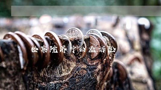 检察院济宁公益诉讼