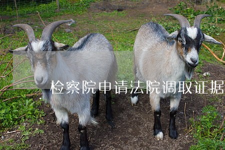 检察院申请法院调取证据 检察院申请法院调取证据