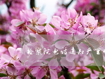 检察院电话通知严重吗 检察院电话通知严重吗